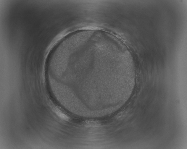 X0000082180296200702092316