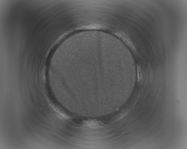 X0000082180300200702092316