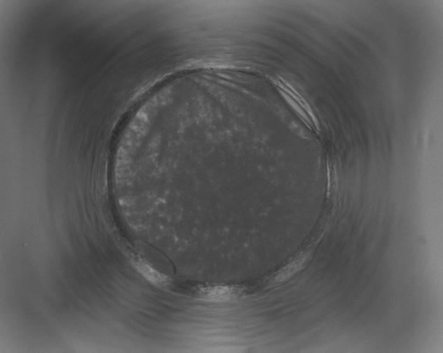 X0000082180301200702092316