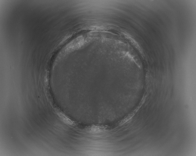 X0000082180305200702092316