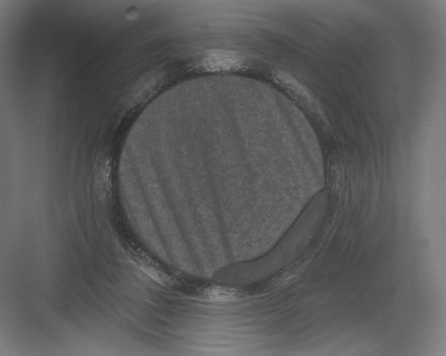 X0000082180308200702092316