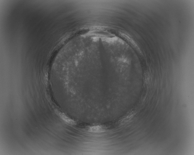 X0000082180309200702092316