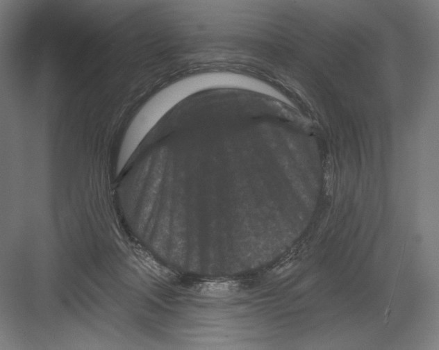 X0000082180314200702092316