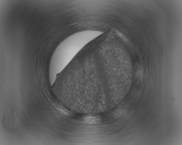 X0000082180315200702092316