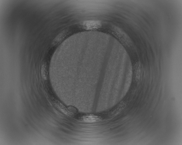 X0000082180316200702092316