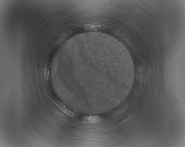 X0000082180324200702092316