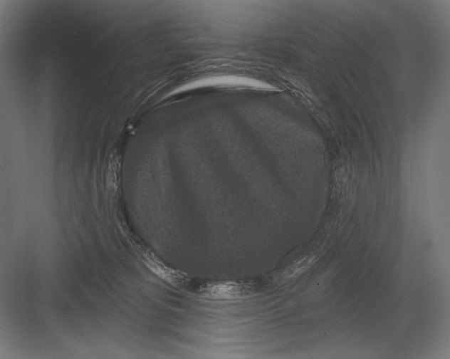 X0000082180325200702092316
