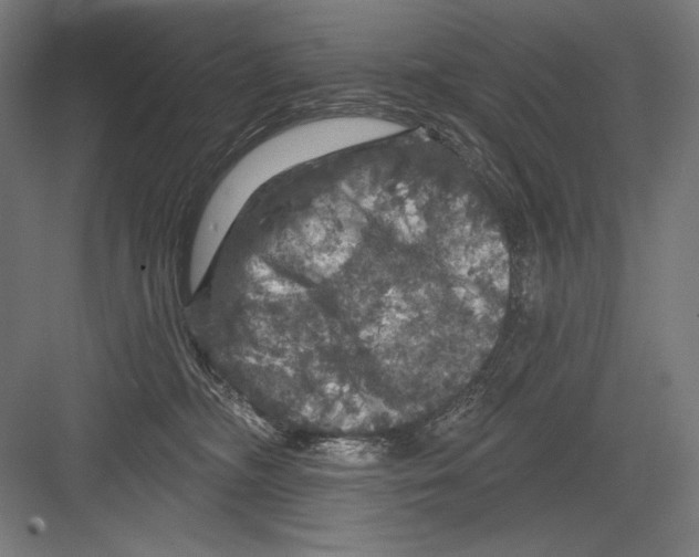 X0000082180326200702092316