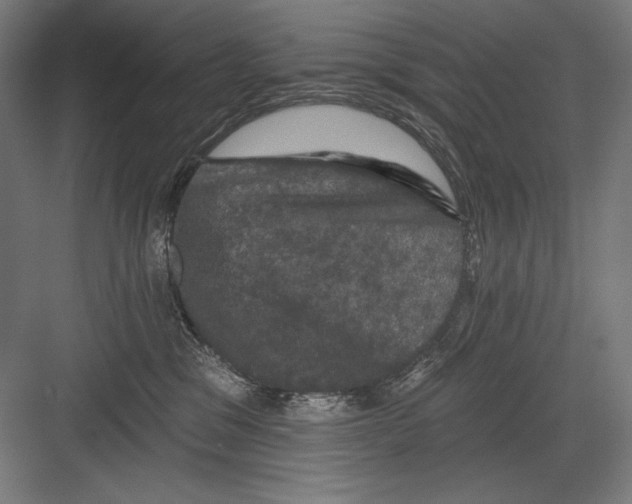 X0000082180329200702092316