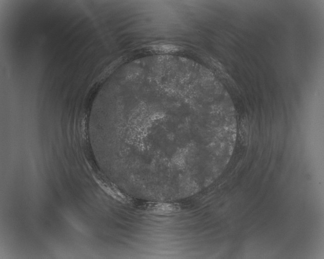 X0000082180330200702092316