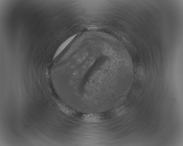 X0000082180331200702092316