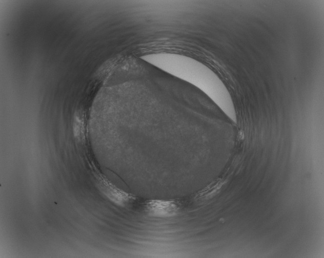 X0000082180333200702092316