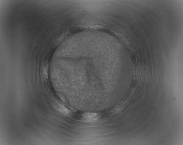 X0000082180334200702092316