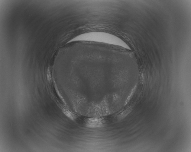 X0000082180335200702092316