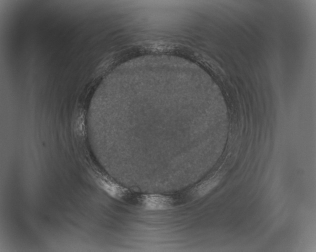X0000082180336200702092316