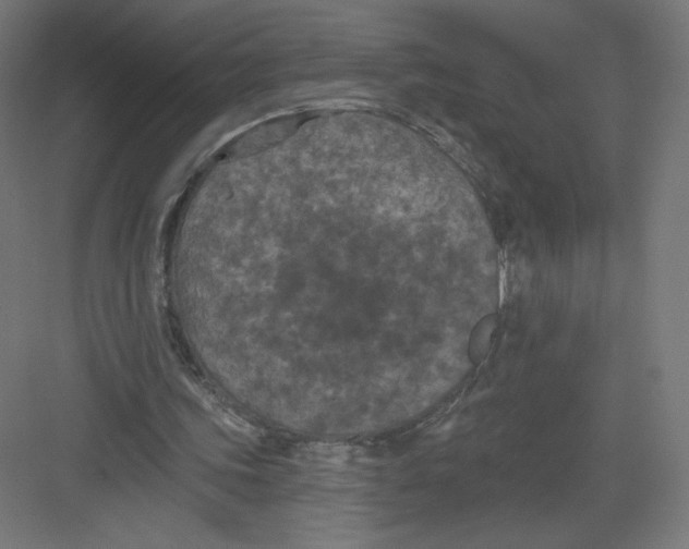 X0000082180339200702092315