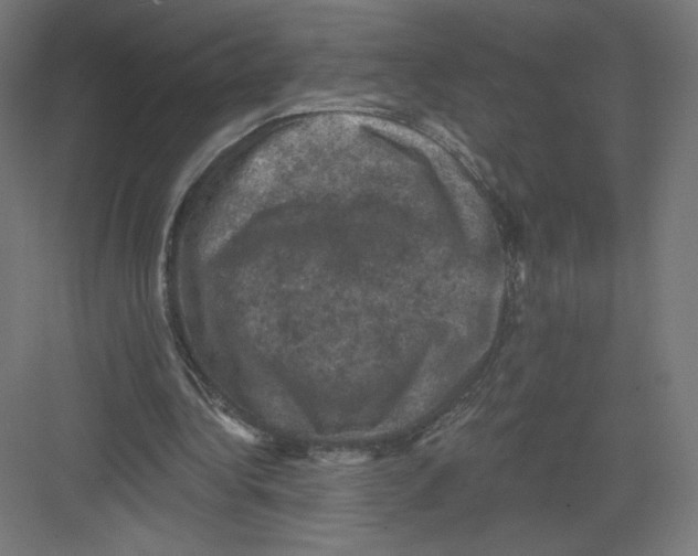 X0000082180340200702092315