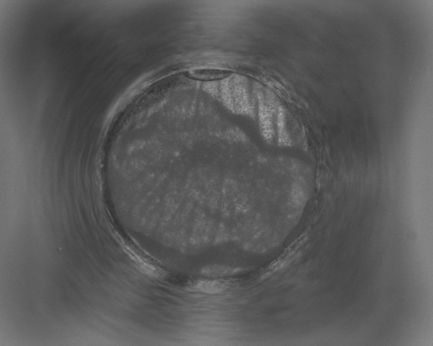 X0000082180341200702092315