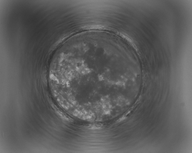 X0000082180345200702092315