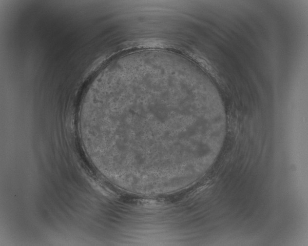 X0000082180347200702092315