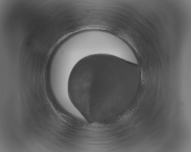X0000082180348200702092315