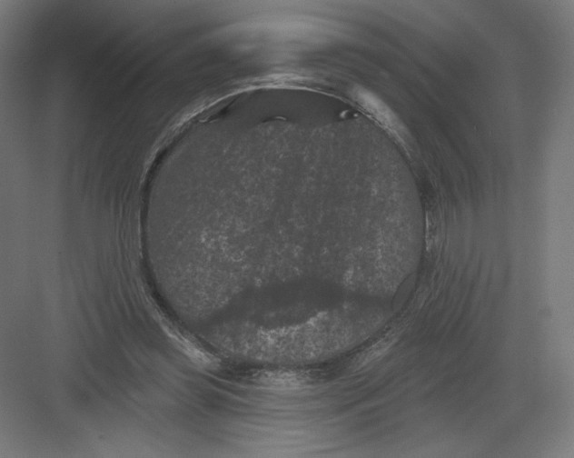 X0000082180349200702092315