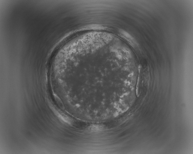 X0000082180350200702092315