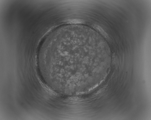 X0000082180351200702092315