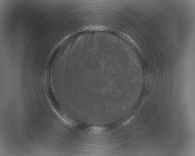 X0000082180352200702092315