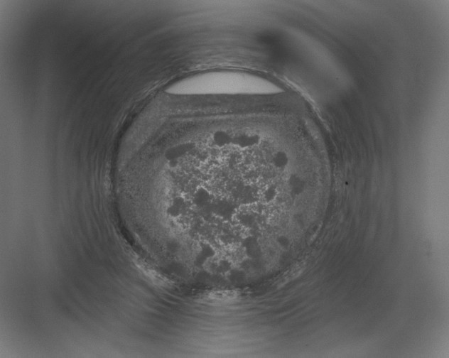 X0000082180353200702092315