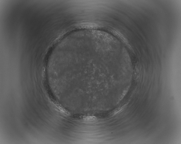 X0000082180355200702092315
