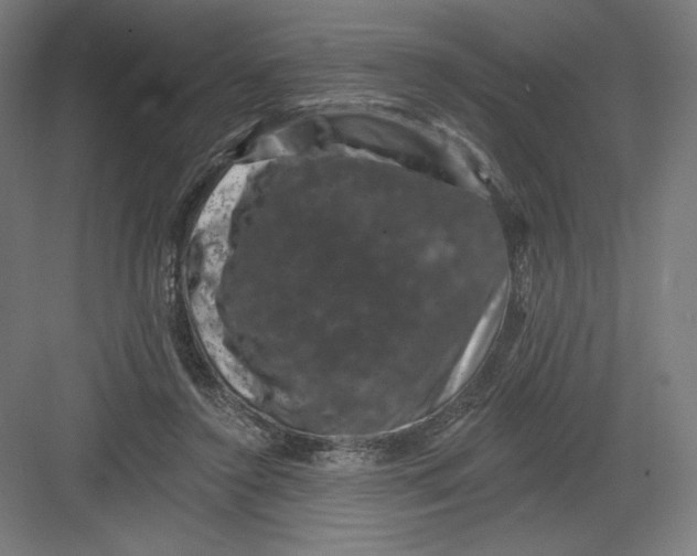 X0000082180356200702092315