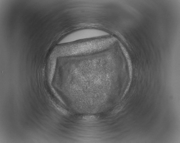 X0000082180357200702092315