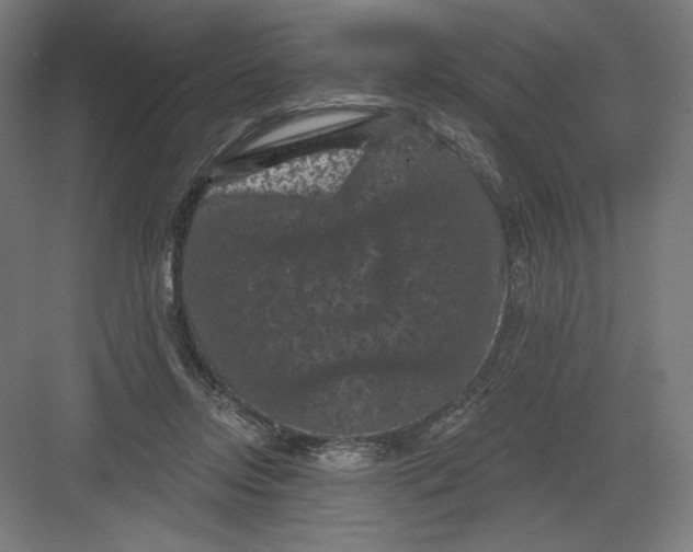 X0000082180358200702092315