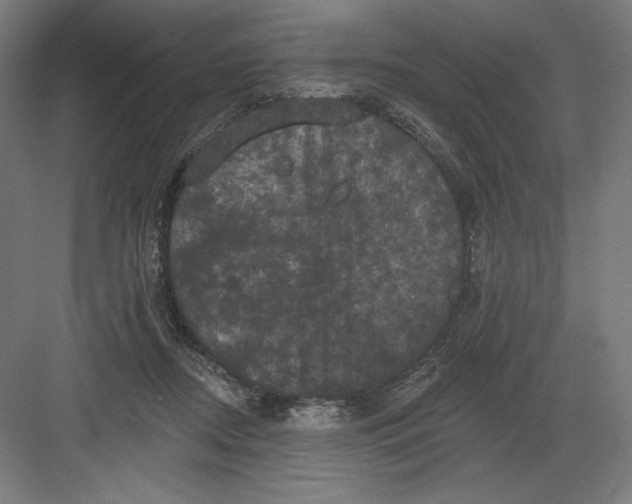 X0000082180362200702092315