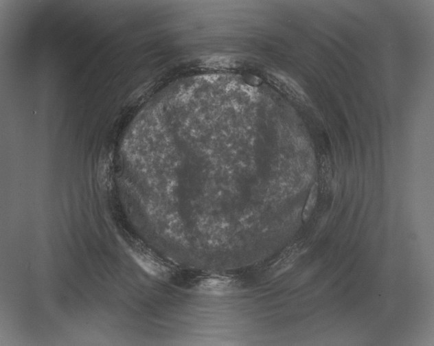X0000082180364200702092315