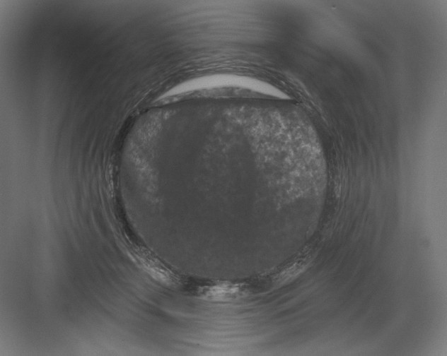 X0000082180366200702092315