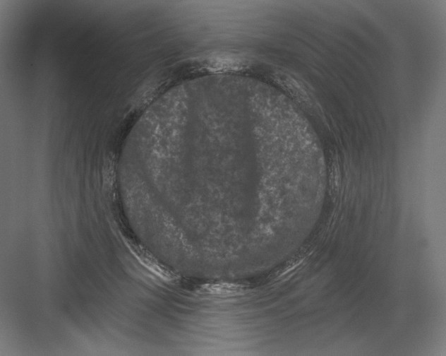 X0000082180367200702092315