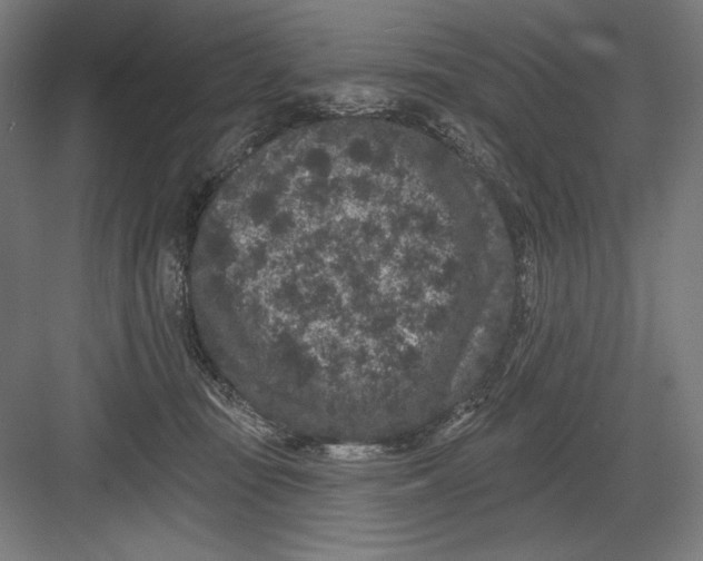 X0000082180371200702092315