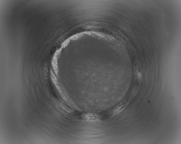 X0000082180372200702092315