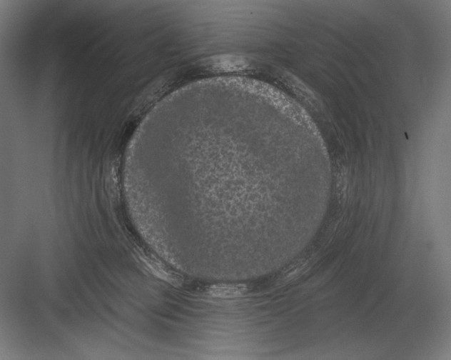 X0000082180373200702092315