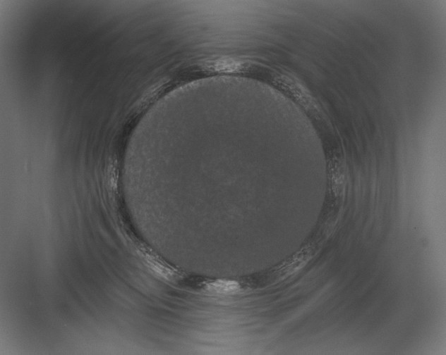 X0000082180374200702092316