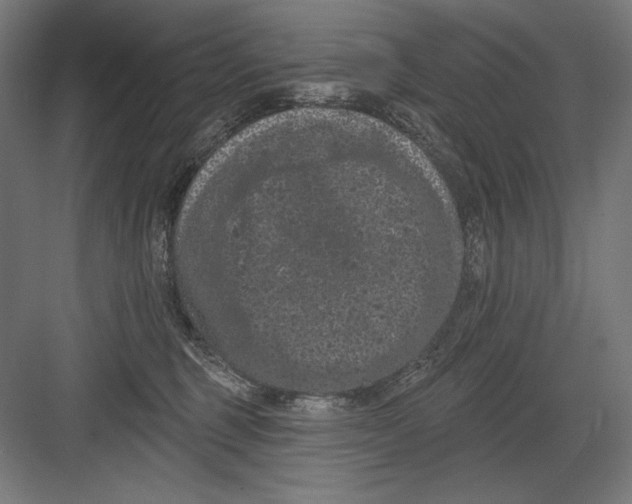 X0000082180375200702092316