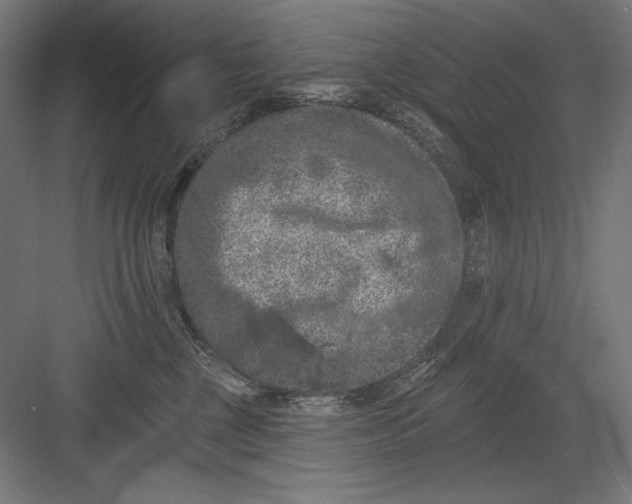 X0000082180377200702092316