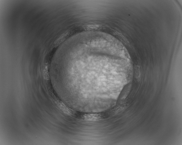 X0000082180378200702092316