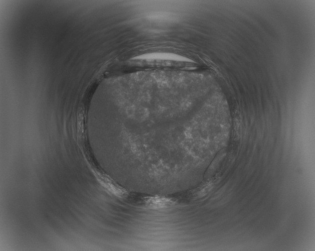X0000082180379200702092316
