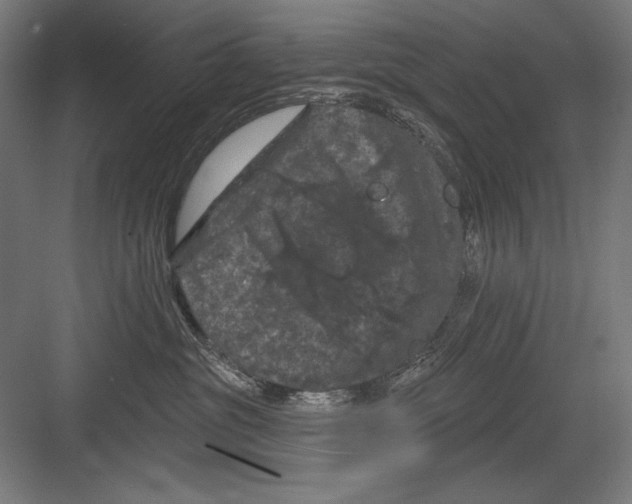 X0000082180381200702092316
