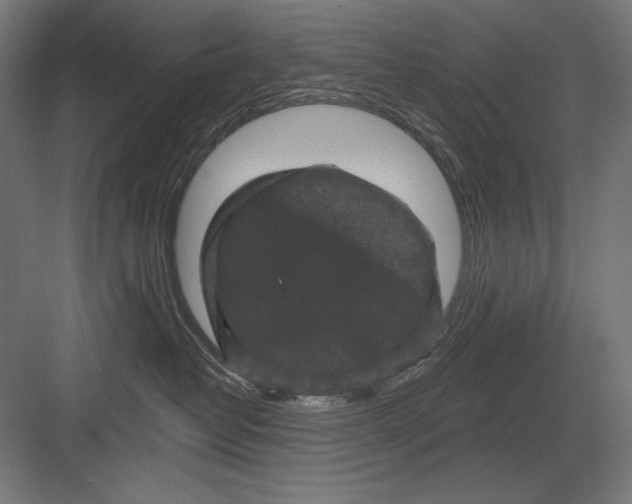 X0000082180382200702092316