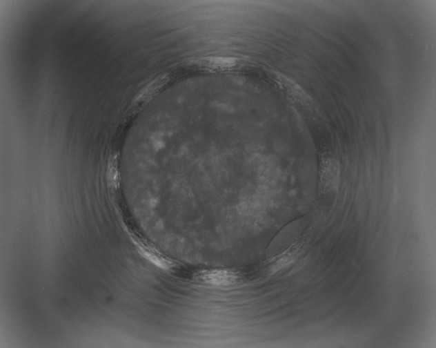 X0000082180383200702092316