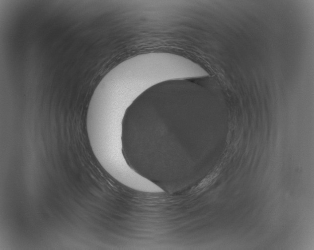 X0000082180384200702092316